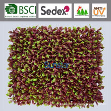 Plastic PE Artificial Plant Cabbage Lvs Hedge Panel Artificial Plant for Decoration (50967)
